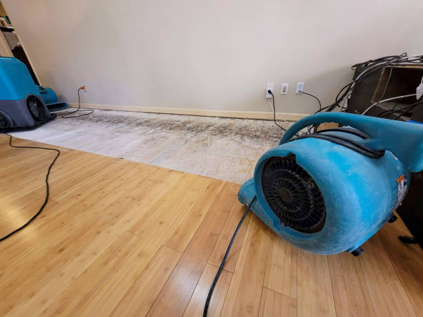 Professional Water Removal technician working in Brownville Junction, ME